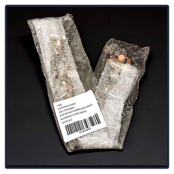 Free People Catriona Layer Necklace - Picture 9 of 16